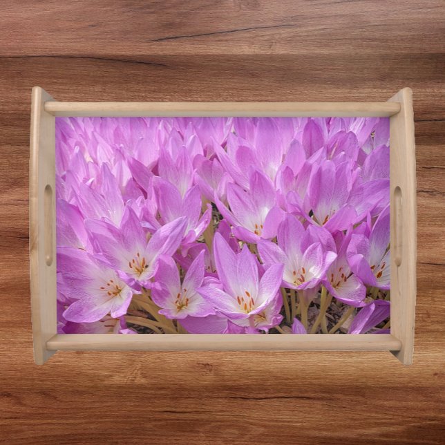 Pink Autumn Crocus Blooms Floral Serving Tray (In Situ)