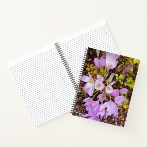 Pink Autumn Crocus Flowers Floral Notebook
