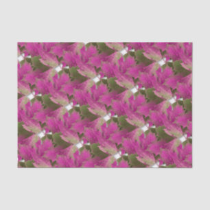 Pink Autumn Leaves Tissue Paper