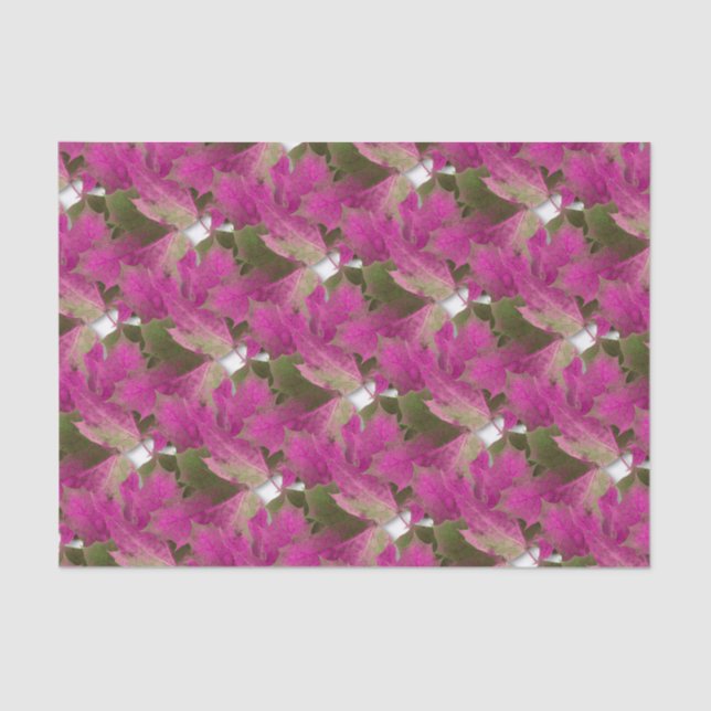 Pink Autumn Leaves Tissue Paper (Front)
