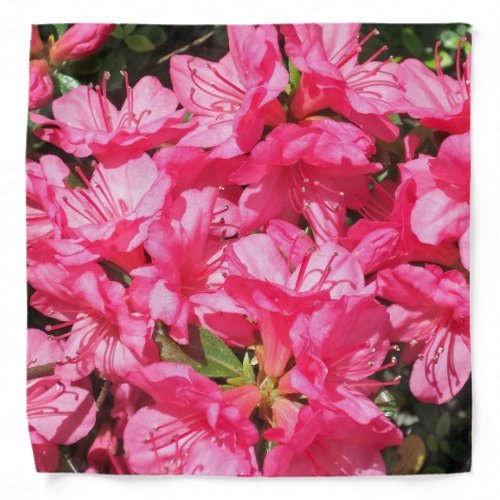 Pink Azalea Bandana