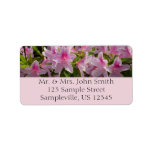 Pink Azalea Bush Label