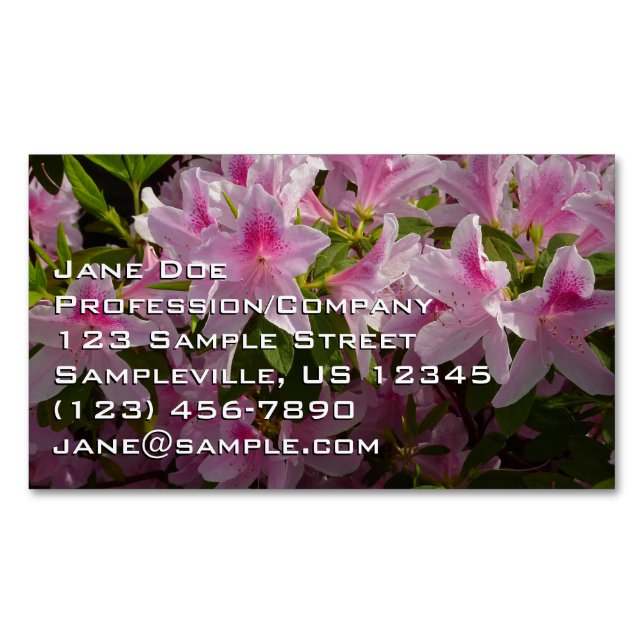 Pink Azalea Bush Spring Floral Business Card Magnet (Front)
