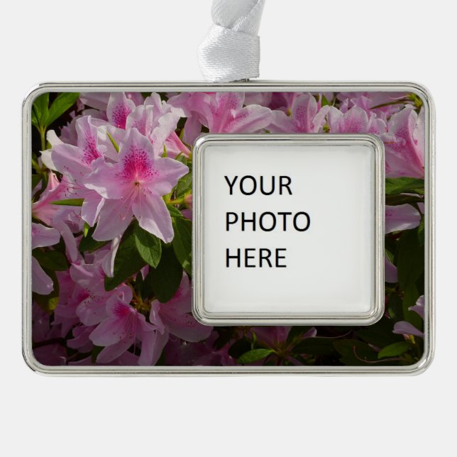 Pink Azalea Bush Spring Floral Christmas Ornament (Front)