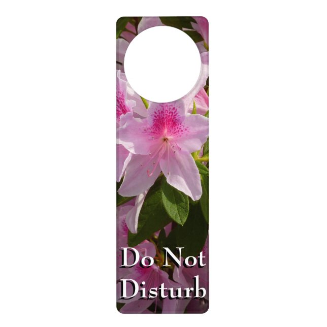 Pink Azalea Bush Spring Floral Door Hanger (Front)