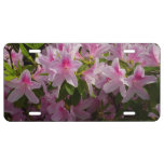 Pink Azalea Bush Spring Floral License Plate