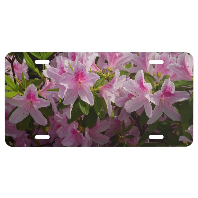 Pink Azalea Bush Spring Floral License Plate (Front)