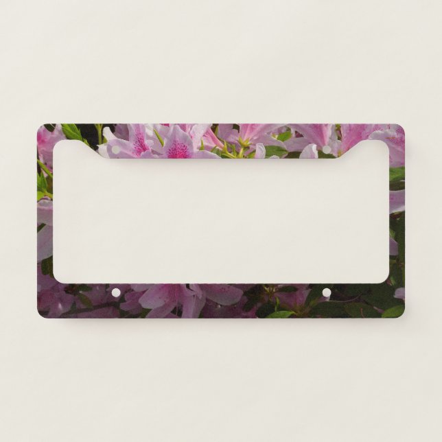 Pink Azalea Bush Spring Floral License Plate Frame (Front)