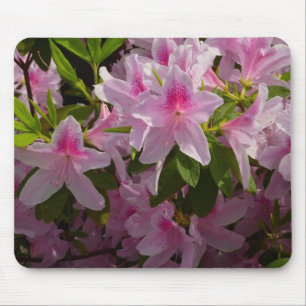 Pink Azalea Bush Spring Floral Mouse Pad