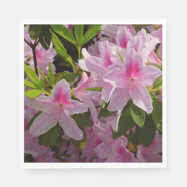 Pink Azalea Bush Spring Floral Napkins (Front)