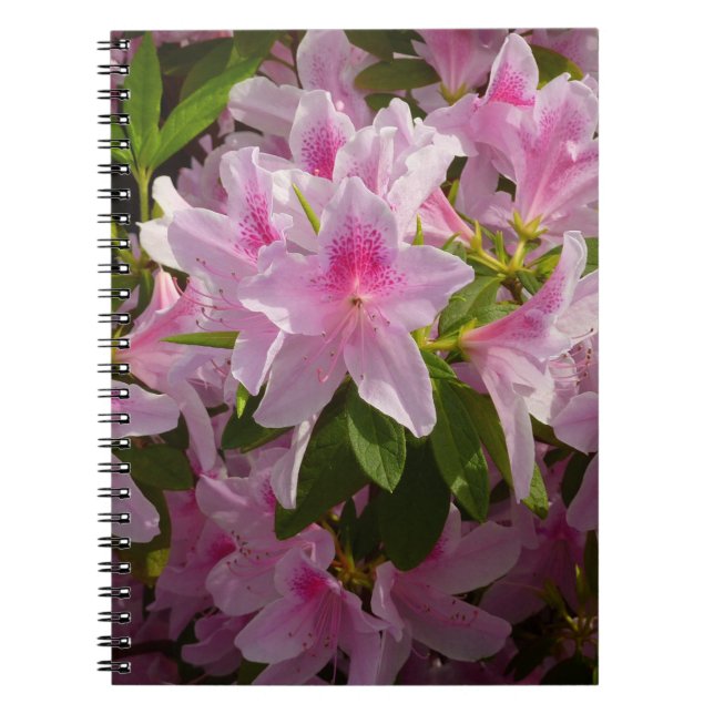 Pink Azalea Bush Spring Floral Notebook (Front)
