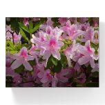 Pink Azalea Bush Spring Floral Paperweight