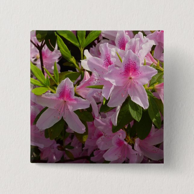 Pink Azalea Bush Spring Floral Pinback Button (Front)