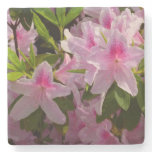 Pink Azalea Bush Spring Floral Stone Coaster