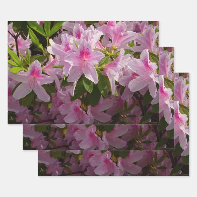 Pink Azalea Bush Spring Floral Wrapping Paper Sheets (Set)