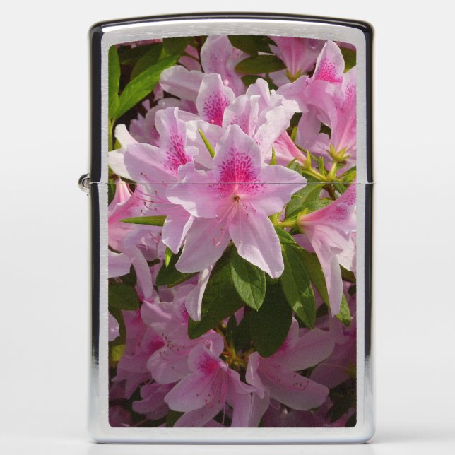 Pink Azalea Bush Spring Floral Zippo Lighter (Front)