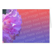 Pink Azalea Flower Photo Card (Front Horizontal)
