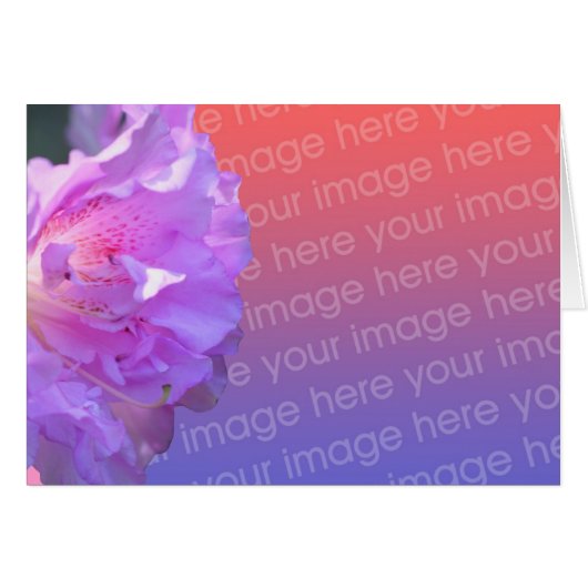 Pink Azalea Flower Photo Card (Front Horizontal)