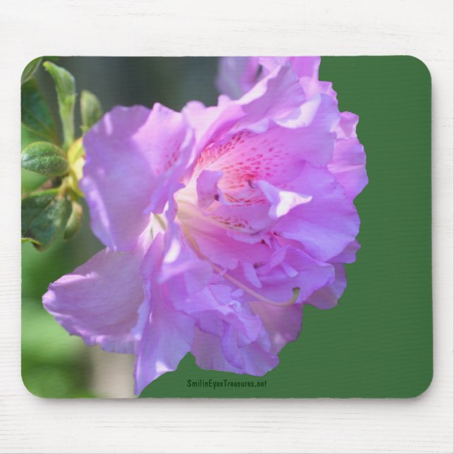 Pink Azalea Flower Photo Mousepad (Front)