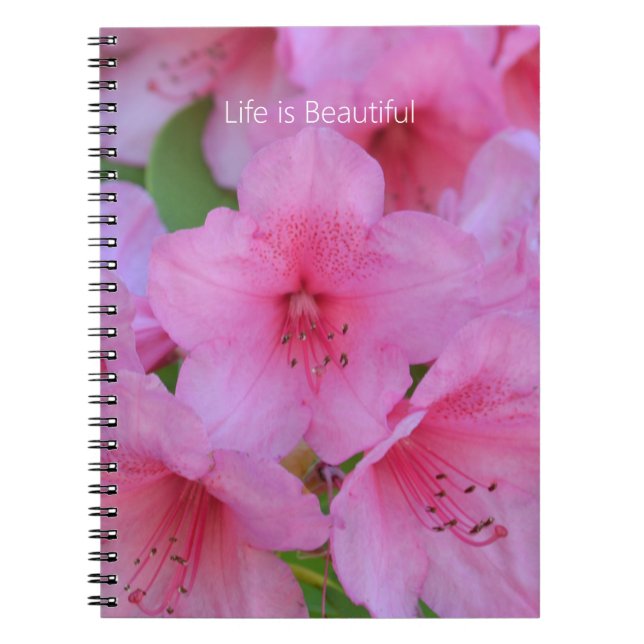 Pink Azalea Flowers (my photography) Notebook (Front)
