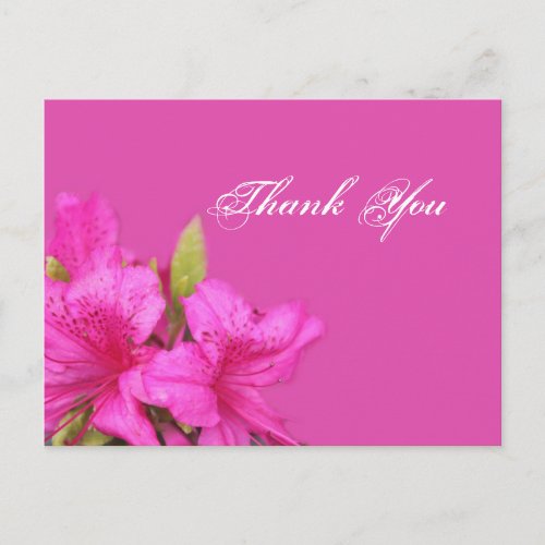 Pink azalea flowers thank you postcards