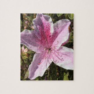 Pink Azalea puzzle
