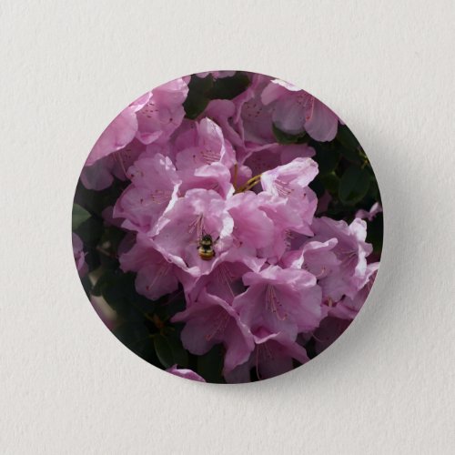 Pink Azaleas  Bee Rhododendron Garden Flowers Button