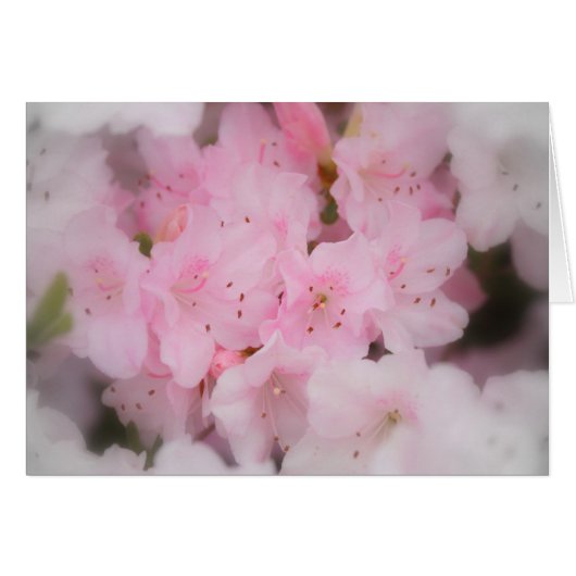 Pink Azaleas Cards (Front Horizontal)