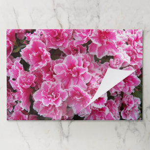 Pink Azaleas Floral Paper Placemats