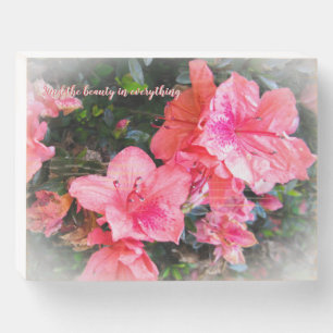 Pink Azaleas in Bloom Wooden Box Sign