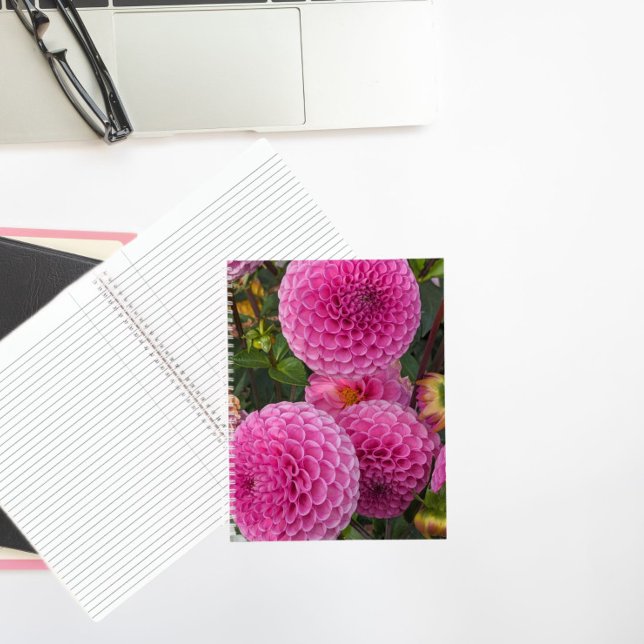 Pink Ball Dahlias Floral Notebook (In Situ)