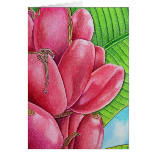 Pink Bananas Cards (Front)