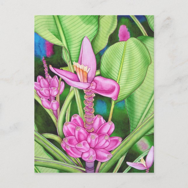 Pink Bananas Postcard (Front)