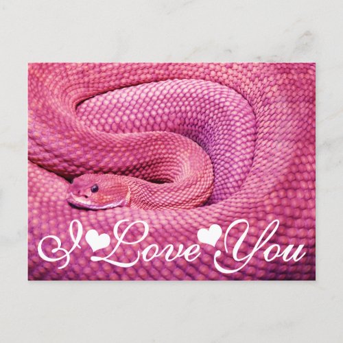 Pink Basilisk Rattlesnake I Love You Postcard