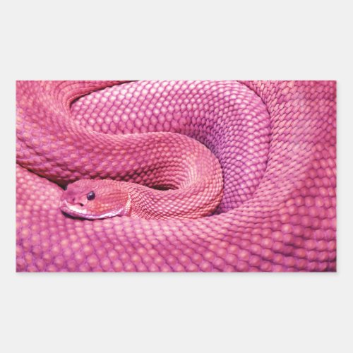 Pink Basilisk Rattlesnake Rectangular Sticker