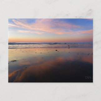 Pink Beach Sunrise Postcard
