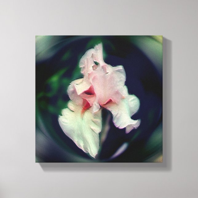 Pink Bearded Iris Flower Art Canvas Print (Front)