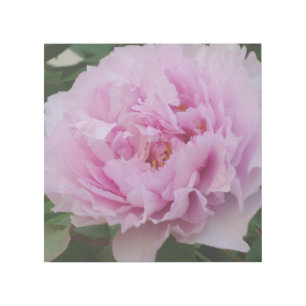 Pink Beauty 12" x 12" Gallery Wrap