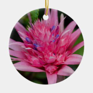 Pink Beauty Ceramic Ornament