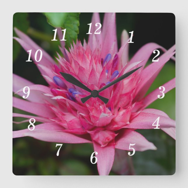 Pink Beauty Wall Clock (Front)