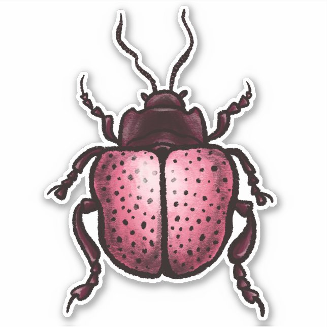 Pink Beetle Cute Bug Art - Insect Lover Sticker (Front)