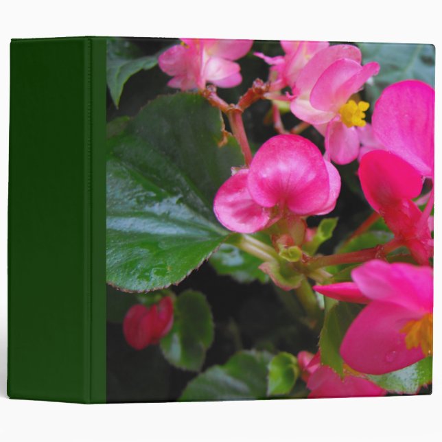 Pink Begonia Binder (Front/Spine)