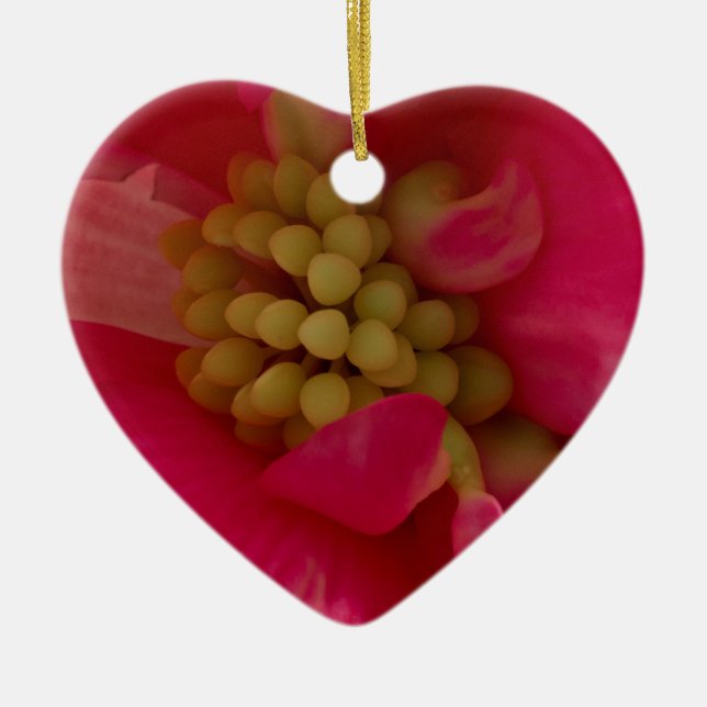 Pink Begonia Stamen Macro Ornament (Front)