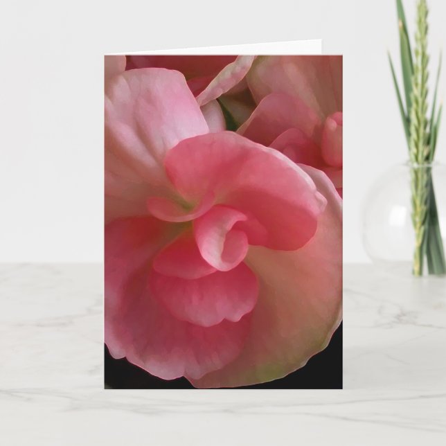 Pink Begonias, Digital Painting Greeting Card (Front)