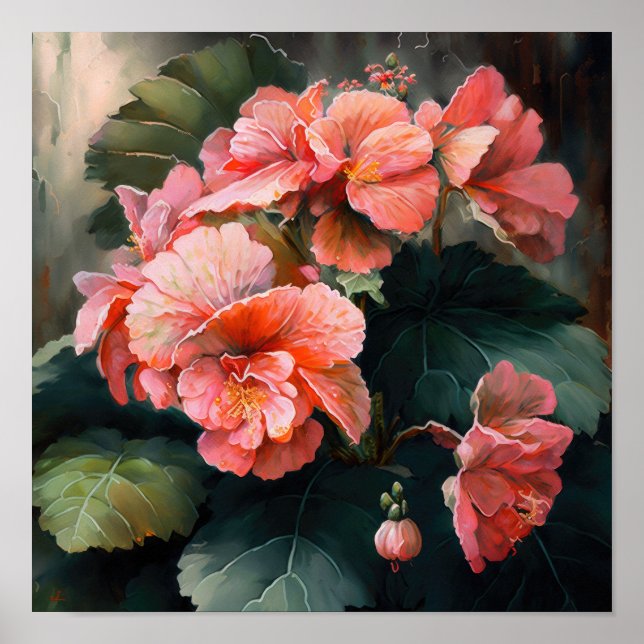 Pink Begonias Flower Art Print Poster (Front)