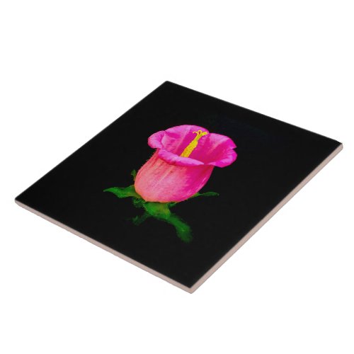 Pink Bellflower on Black Ceramic Tile
