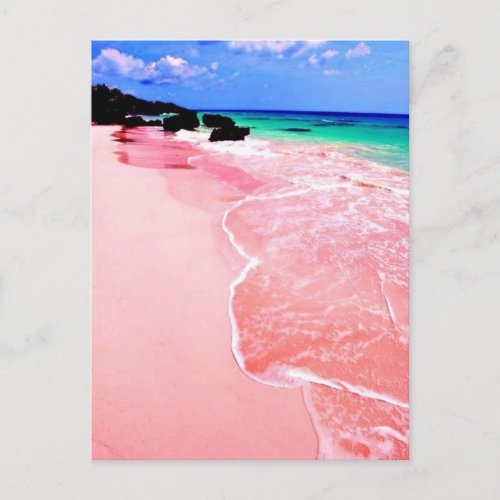 Pink Bermuda Beach Postcard