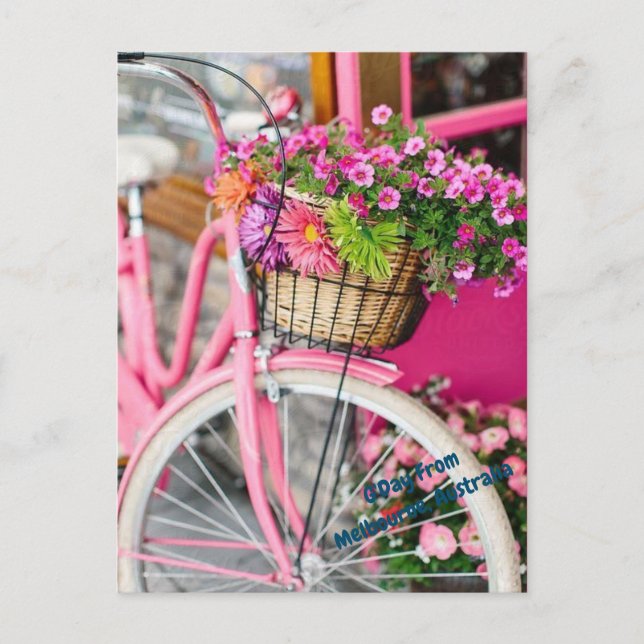 pink bike and flowers postcard (Front)