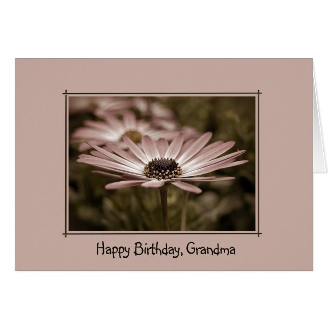 Pink Birthday Daisy for Grandma Cards (Front Horizontal)