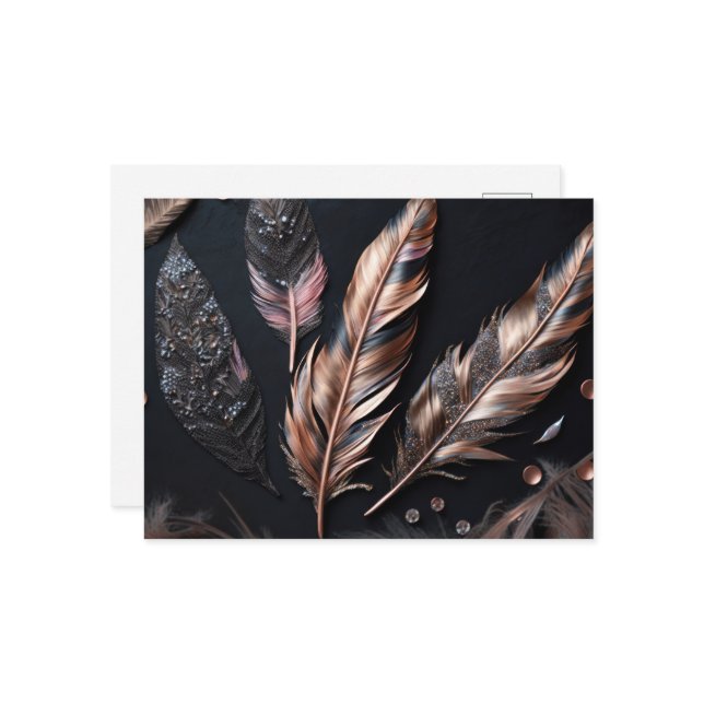 Pink & Black Decorative Feathers Postcard (Front/Back In Situ)